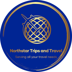Travel agency logo with globe and airplane.